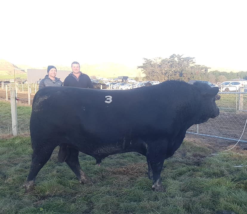 Tamate Angus Bull sold for $85,000.