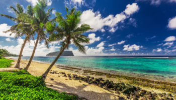 Lalomanu beach on Samoa Island with tree palm trees, Upolu, South Pacific