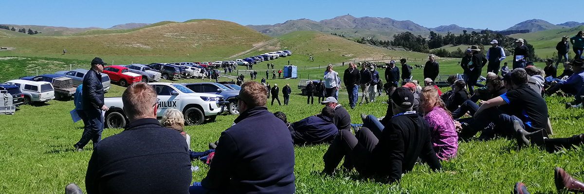 Agri Senior Advisors Beef & Sheep Farmer of the Year - wk effect