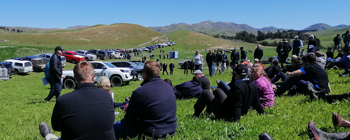 Agri Senior Advisors Beef & Sheep Farmer of the Year - wk effect