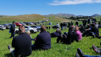 Agri Senior Advisors Beef & Sheep Farmer of the Year - wk effect